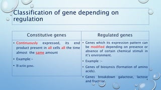 Classification of gene depending on
regulation
Constitutive genes
• Continuously expressed, its end
product present in all cells all the time
almost the same amount
• Example:-
• Β actin gene.
Regulated genes
• Genes which its expression pattern can
be modified depending on presence or
absence of certain chemical stimuli in
it’s environment.
• Example :-
• Genes of biosynsis (formation of amino
acids).
• Genes breakdown galactose, lactose
and fructose.
4
 