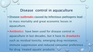 Disease control in aquaculture
• Disease outbreaks caused by Infectious pathogens lead
to mass mortality and great economic losses in
aquaculture.
• Antibiotics have been used for disease control in
aquaculture in last decades, but it have its drawbacks
such as residual toxicity, emerging drug resistance,
immune suppression and reduced consumer preference
for drug treated aquatic products.
5
 