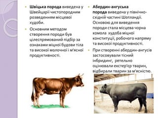 Породи ВРХ.ppt