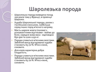 Породи ВРХ.ppt