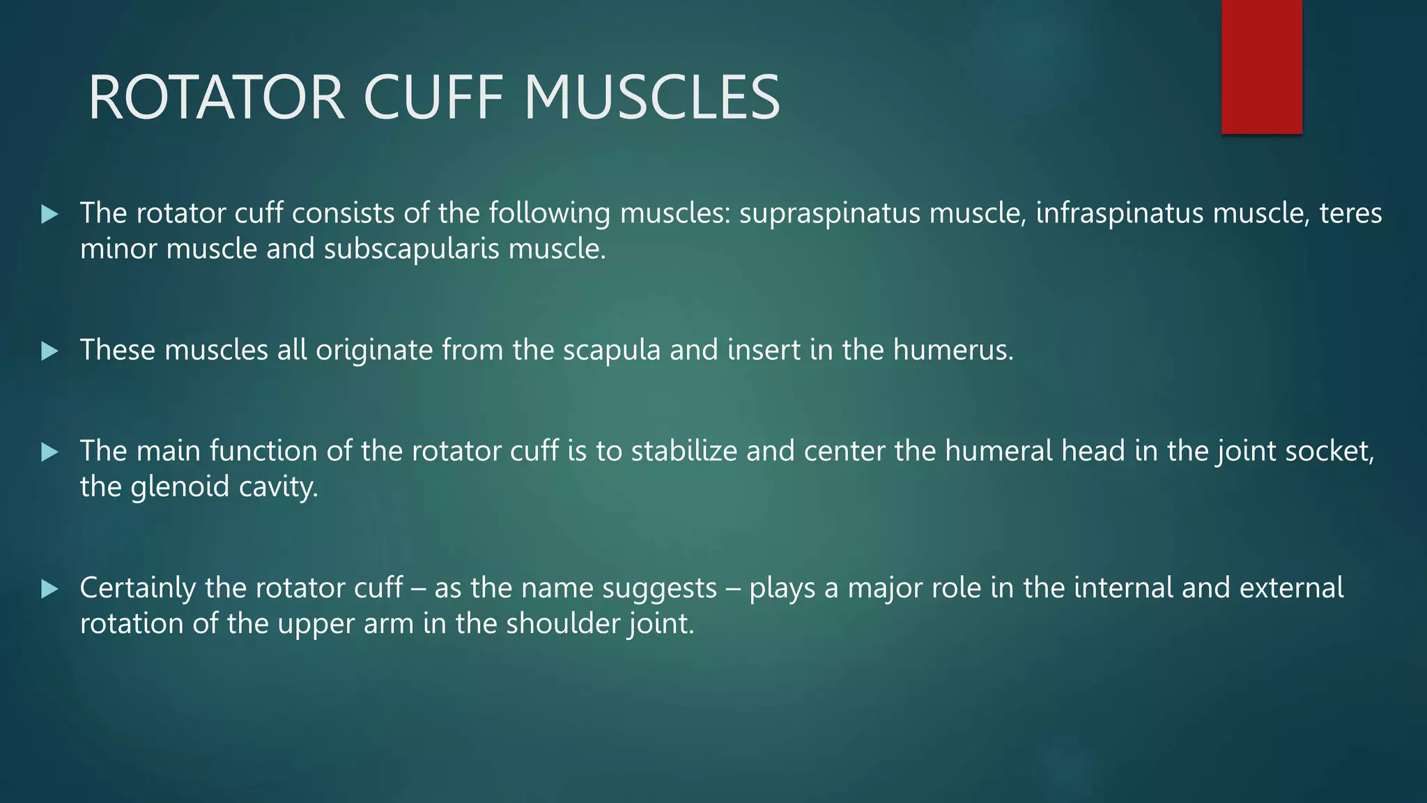  UPPER LIMB MUSCLES I pptx