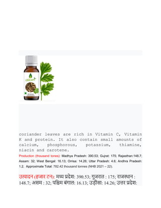 coriander leaves are rich in Vitamin C, Vitamin
K and protein. It also contain small amounts of
calcium, phosphorous, potassium, thiamine,
niacin and carotene.
Production (thousand tones): Madhya Pradesh: 390.53; Gujrat: 175; Rajasthan:148.7;
Assam: 32; West Bengal: 16.13; Orrisa: 14.26; Uttar Pradesh: 4.6; Andhra Pradesh:
1.2. Approximate Total: 782.42 thousand tonnes (NHB 2021 – 22).
उत्पादि (िजार टि): मध्य प्रदेश: 390.53; गुजरात : 175; राजस्थाि :
148.7; असम : 32; पनिम र्ंगाल: 16.13; उडीसा: 14.26; उिर प्रदेश:
 