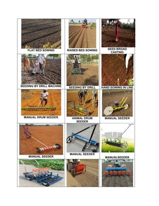 FLAT BED SOWING RAISED BED SOWING SEED BROAD
CASTING
SEEDING BY DRILL MACHINE SEEDING BY DRILL HAND SOWING IN LINE
MANUAL DRUM SEEDER ANIMAL DRUM
SEEDER
MANUAL SEEDER
MANUAL SEEDER
MANUAL SEEDER
MANUALSEEDER
 