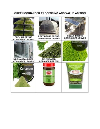 GREEN CORIANDER PROCESSING AND VALUE ADITION
OPEN AIR DRYING
CORIANDER LEAVES
POLY HOUSE DRYING
CORINANDER LEAVES
SOLAR DRYING
CORINANDER LEAVES
MECHANICAL DRIER
CORIANDER LEAVES
DEHYDRATED
CORIANDER GREEN
 