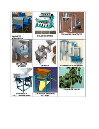 MAGNETIC
SEPARATOR
COLOUR SORTER
CORIANDER PUNERIZER
DRY LEAVES
GRINDER GRINDER CORIANDER POWDERING
CORIANDER
SPLITTING MACHINE
CORIANDER SPLITTING
MACHINE
CORIANDER SPLITS
 