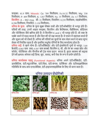 फाइर्र: 41.9 ग्राम; Minerals: Ca: 709 नमलीग्राम; Fe:16.32 नमलीग्राम; Mg: 330
नमलीग्राम; P: 409 नमलीग्राम; K: 1267 नमलीग्राम; Na: 35 नमलीग्राम; Zn: 4.7 नमलीग्राम;
नवटानमि: A – 942 mcg; सी: 21 नमलीग्राम; नथयानमि: 0.239 नमलीग्राम; राइर्ोफ्लेनवि:
0.290 नमलीग्राम; नियानसि: 2.130 नमलीग्राम;
धनिया क
े फ
ू ल: धनिया क
े फ
ू ल सूक्ष्म पोषक तत्वों और एं टीऑक्सीडेंट से भरपूर िोते िैं।
पनियों की तरि, उिमें आिार फाइर्र, नवटानमि और क
ै क्तशशयम, मैग्नीनशयम, सोनडयम
और पोटेनशयम जैसे खनिज िोते िैं। वे नवटानमि K and C भी भरपूर िोते िैं, जो रक्त क
े
थक्क
े जमिे में मदद करता िै और नदल की भी रक्षा करता िै। वे पाचि में सिायता करते िैं
और सूजि को भी रोकते िैं। धनिया की पनियों का फ
ू लों क
े साथ सेवि करिे से ब्लड शुगर
लेवल भी नियंनत्त रिता िै और इसनलए मधुमेि रोनगयों क
े नलए फायदेमंद िोता िै।
धनिया जडें: ये खािे योग्य िैं। एं टीऑक्तक्सडेंट और एं टी-इंफ्लेमेटरी गुणों से भरपूर; 3.68
क
ै लोरी; 0.083 ग्राम वसा; 0.587 ग्राम कार्ब्ध; नवटानमि ए, सी, और क
े का अच्छा स्रोत और
फोलेट, पोटेनशयम और मैंगिीज की टरेस मात्ा प्रदाि करता िै; हृदय स्वास्थ्य को र्ढावा
देिे की क्षमता। कोमल जडें नडप्स, सूप , सलाद, करी पेस्ट क
े रूप में प्रयोग िोती िै।
धनिया कायाधत्मक पिलू (Functional Aspects): धनिया अपिे एं टीऑक्तक्सडेंट, एं टी-
डायनर्नटक, एं टी-म्यूटाजेनिक, एं टी-नचंता, एं टी-फ
ं गल, एं टीक
ैं सर और एं टीमाइक्रोनर्यल
गनतनवनध क
े साथ-साथ एिाल्जेनसक, एं टी-िाइपरग्लाइसेनमक क
े नलए भी जािा जाता िै।
धनिया उत्पादि प्रौद्योनगकी
धनिया पौधा धनिया फ
ू ल धनिया जड धनिये क
े र्ीज
धनिये क
े र्ीज धनिये क
े र्ीज धनिये क
े र्ीज धनिये क
े र्ीज
 
