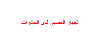 ‫الحشرات‬ ‫لدى‬ ً‫العصب‬ ‫الجهاز‬
 