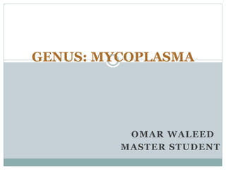 OMAR WALEED
MASTER STUDENT
GENUS: MYCOPLASMA
 