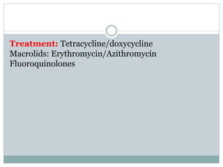 Treatment: Tetracycline/doxycycline
Macrolids: Erythromycin/Azithromycin
Fluoroquinolones
 