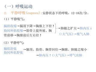 肺通气动力.ppt
