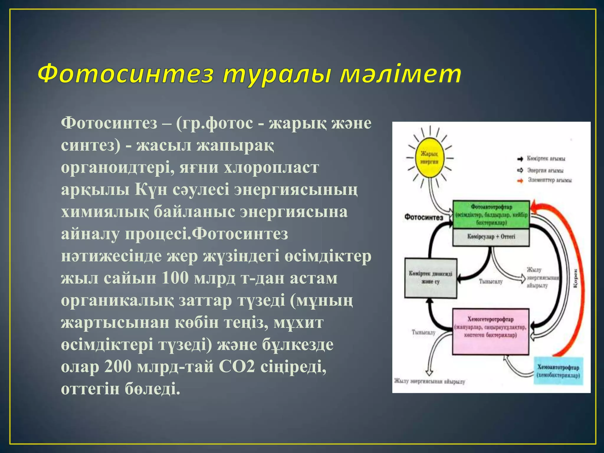 Жалаңаш сұлулық және секс