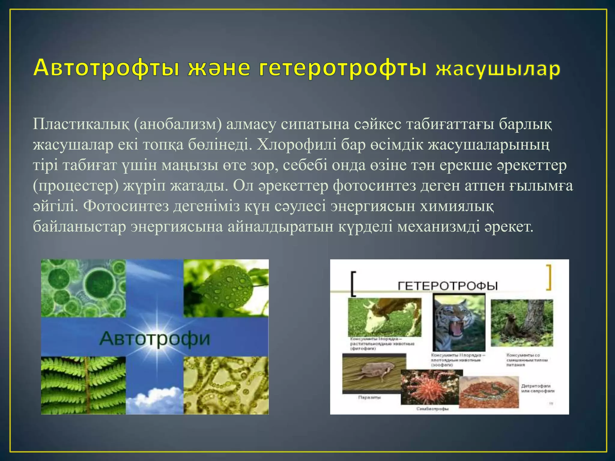 Жеке хабарламалардағы порно