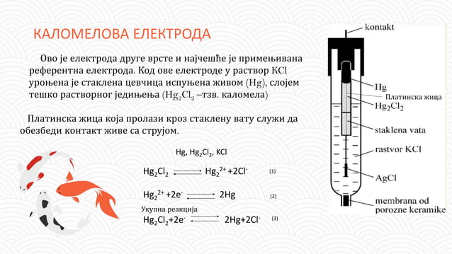 Електроде друге врсте.pptx