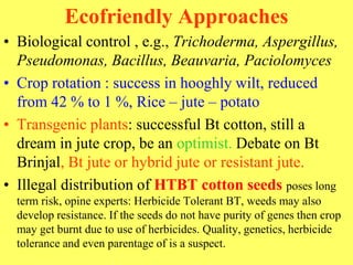 Ecofriendly Approaches
• Biological control , e.g., Trichoderma, Aspergillus,
Pseudomonas, Bacillus, Beauvaria, Paciolomyces
• Crop rotation : success in hooghly wilt, reduced
from 42 % to 1 %, Rice – jute – potato
• Transgenic plants: successful Bt cotton, still a
dream in jute crop, be an optimist. Debate on Bt
Brinjal, Bt jute or hybrid jute or resistant jute.
• Illegal distribution of HTBT cotton seeds poses long
term risk, opine experts: Herbicide Tolerant BT, weeds may also
develop resistance. If the seeds do not have purity of genes then crop
may get burnt due to use of herbicides. Quality, genetics, herbicide
tolerance and even parentage of is a suspect.
 