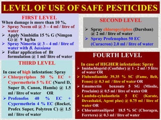 LEVEL OF USE OF SAFE PESTICIDES
FIRST LEVEL
When damage is more than 10 %,
 Spray Neem oil @ 3 – 4 ml / litre of
water
 Apply Nimbidin 15 % G (Nimgon
G) @ 9 kg/ha
 Spray Nimerin @ 3 – 4 ml / litre of
water with B. bassiana
 Foliar application of Bt
formulation @ 1 ml/ litre of water
SECOND LEVEL
 Spray chloropyriphos (Dursban)
@ 2 ml / litre of water
 Spray Profenophos 50 EC
(Curacron) 2.0 ml / litre of water
THIRD LEVEL
In case of high infestation: Spray
 Chlorpyriphos 50 % EC +
Cypermethrin 5 % EC (Nurel D,
Super D, Canon, Hamla) @ 1.5
ml / litre of water OR
 Profenofos 40 % EC +
Cypermethrin 4 % EC (Rocket,
Profex Super, Polytren C) @ 1.5
ml / litre of water
FOURTH LEVEL
In case of HIGHER infestation: Spray
 Imidachloprid (Confidor) @ 1 - 2 ml / 5 litre
of water OR
 Flubendiamide 39.35 % SC (Fame, Belt,
Fenos) @ 0.3 ml / litre of water OR
 Emamectin benzoate 5 SG (Missile,
Proclaim) @ 0.5 ml / litre of water OR
 Lambda-cyhalaothrin 5 EC (Karate,
Devashakti, Agent plus) @ 0.75 ml / litre of
water OR
 Chlorantraniliprol 18.5 % SC (Choragen,
Ferrtera) @ 0.3 ml / litre of water
 