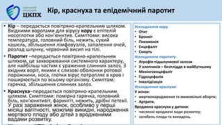 • Кір – передається повітряно-крапельним шляхом.
Вхідними воротами для вірусу кору є епітелій
носоглотки або кон'юнктив. Симптоми: висока
температура, головний біль, нежить, сухий
кашель, збільшення лімфовузлів, запалення очей,
розлад шлунку, червоний висип на тілі.
• Паротит –передається повітряно-крапельним
шляхом, це захворювання системного характеру,
але найбільш частим є ураження слинних залоз. З
вхідних воріт, якими є слизові оболонки ротової
порожнини, носа, глотки вірус потрапляє в кров і
поширюється по всьому організму. Симптом:
гарячка, збільшення слинних залоз.
• Краснуха–передається повітряно-крапельним
шляхом. Симптоми: помірна гарячка, головний
біль, кон'юнктивіт, фарингіт, нежить, дрібні петехії.
У разі зараження жінок, особливо у перші
місяці вагітності, можливі викидні, народження
мертвого плоду або дітей з вродженими
вадами розвитку.
Кір, краснуха та епідемічний паротит
Ускладнення кору:
• Отит
• Бронхіт
• Пневмонія
• Енцефаліт
• Смерть
Ускладнення паротиту:
• Атрофія підшлункової залози
• У хлопчиків – безпліддя в майбутньому
• Менінгоенцефаліт
• Гідроцефалія
• Інвалідізація
Ускладнення краснухи:
У жінок:
• мертвонародження та мимовільні аборти;
• Артрити.
Вроджена краснухи у дитини:
• численні вроджені вади розвитку;
• загибель плода та викидень.
 