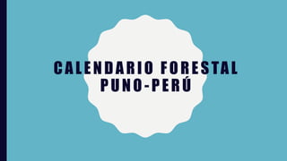 CALENDARIO FORESTAL
PUNO -PERÚ
 