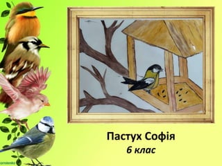 Пастух Софія
6 клас
 