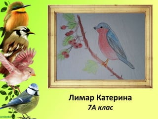 Лимар Катерина
7А клас
 