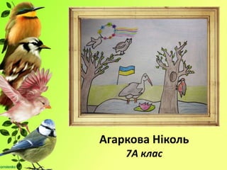 Агаркова Ніколь
7А клас
 