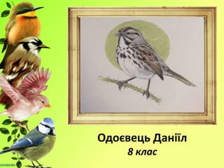 Одоєвець Даніїл
8 клас
 