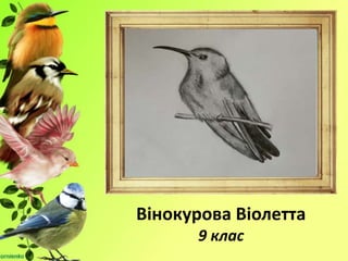 Вінокурова Віолетта
9 клас
 