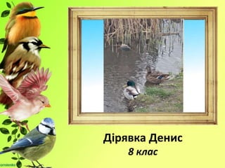 Дірявка Денис
8 клас
 