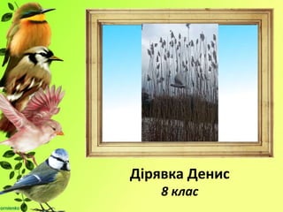 Дірявка Денис
8 клас
 