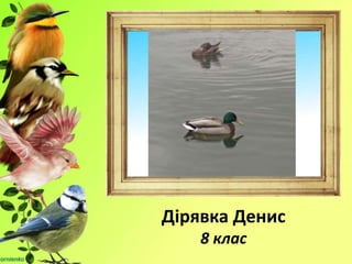 Дірявка Денис
8 клас
 