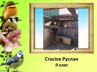 Стасієв Руслан
9 клас
 