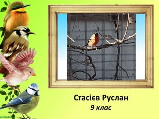 Стасієв Руслан
9 клас
 