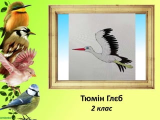 Тюмін Глєб
2 клас
 