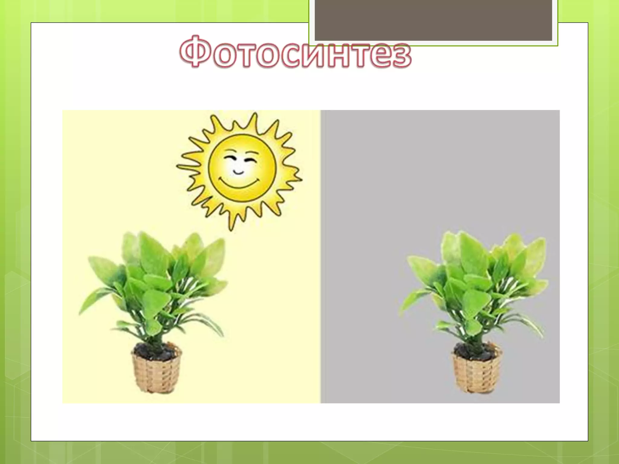 ВКонтакте желісіндегі еркектер: олардың фотосуреттері мен писькилері