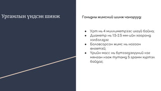 Ургамлын үндсэн шинж Гоньдны жимсний шинж чанарууд:
● Урт нь 4 миллиметрээс ихгүй байна;
● Диаметр нь 1.5-2.5 мм-ийн хооронд
хэлбэлздэг
● Боловсорсон жимс нь ногоон
өнгөтэй;
● Үрийн масс нь бүтээгдэхүүний нэг
мянган нэгж тутамд 5 грамм хүртэл
байдаг;
 