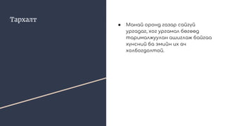 Тархалт
● Манай оронд газар сайгүй
ургадаг, хог ургамал бөгөөд
тарималжуулан ашиглаж байгаа
хүнсний ба эмийн их ач
холбогдолтой.
 