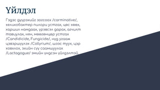 Үйлдэл
Гэдэс дүүрэхийг зогсоох /carminative/,
хеликобактер пилори устгах, цөс хөөх,
харшил намдаах, үрэвсэл дарах, агчилт
тавиулах, нян, мөөгөнцөр устгах
/Candidicide, Fungicide/, нүд угааж
цэвэршүүлэх /Collyrium/, шээс туух, цэр
ховхлох, эхийн сүү саамшуулах
/Lactagogue/ эмийн үндсэн үйлдэлтэй.
 