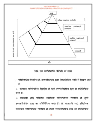 ISHAN DEWANGAN
ENVIRONMENTAL STUDIES & DISASTER MANAGEMENT
75
नींव
धचत्र: एक पाररल्स्थतिक वपराममड का गठन
• पाररल्स्थतिक वपराममड में, उष्णकदटबंधीय स्िर तनम्नमलखखि िरीक
े से ददखाए जािे
हैं:
i. उत्पादक पाररल्स्थतिक वपराममड में पहले उष्णकदटबंधीय स्िर का प्रतितनधधत्व
करिे हैं।
ii. शाकाहारी (या) प्राथममक उपभोतिा पाररल्स्थतिक वपराममड में दूसरे
उष्णकदटबंधीय स्िर का प्रतितनधधत्व करिे हैं। iii. मांसाहारी (या) द्वविीयक
उपभोतिा पाररल्स्थतिक वपराममड में िीसरे उष्णकदटबंधीय स्िर का प्रतितनधधत्व
िृिीयक उपभोतिा (सवााहारी)
माध्यममक उपभोतिाओं
(मांसाहारी )
प्राथममक उपभोतिाओं
(शाकाहारी )
उत्पादकों
शीषा
 