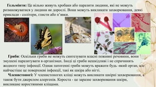 Біологічне забруднення гідроекосистем.pptx