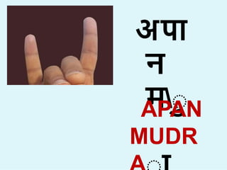 अप
न
मा
APAN
MUDR
 