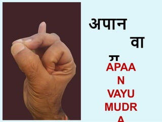 अप न
व
य
म  ा
APAA
N
VAYU
MUDR
 