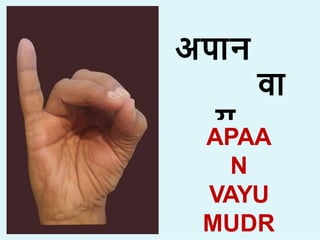 अप न
व
य
म  ा
APAA
N
VAYU
MUDR
 