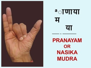 ªा ण य
म
य
न ßसक
म  ा
PRANAYAM
OR
NASIKA
MUDRA
 