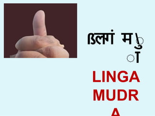 ßलग म 
ा
ा
LINGA
MUDR
 