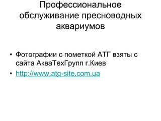 Профессиональное
обслуживание пресноводных
аквариумов
• Фотографии с пометкой АТГ взяты с
сайта АкваТехГрупп г.Киев
• http://www.atg-site.com.ua
 