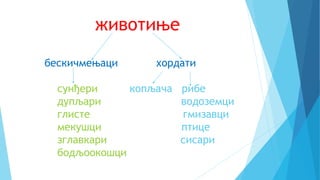 животиње
бескичмењаци хордати
сунђери копљача рибе
дупљари водоземци
глисте гмизавци
мекушци птице
зглавкари сисари
бодљоокошци
 