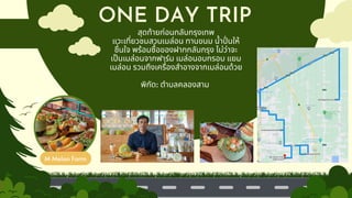 ONE DAY TRIP
สุดท้ายก่อนกลับกรุงเทพ
แวะเที่ยวชมสวนเมล่อน ทานขนม น้ำปั่ นให้
ชื่นใจ พร้อมซื้อของฝากกลับกรุง ไม่ว่าจะ
เป็นเมล่อนจากฟาร์ม เมล่อนอบกรอบ แยม
เมล่อน รวมถึงเครื่องสำอางจากเมล่อนด้วย
พิกัด: ตำบลคลองสาม
M Melon Farm
 