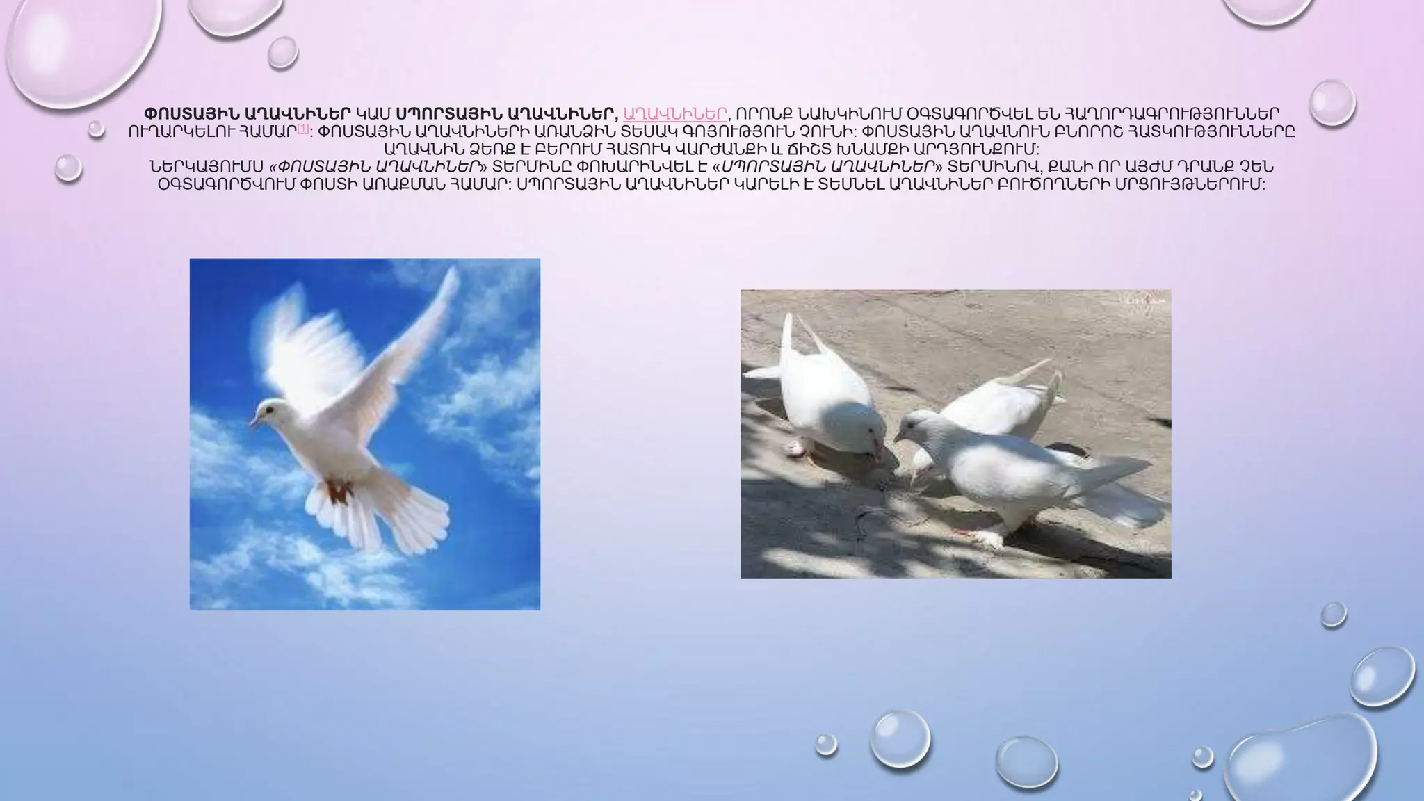 Աղունիկ մասին.pptx