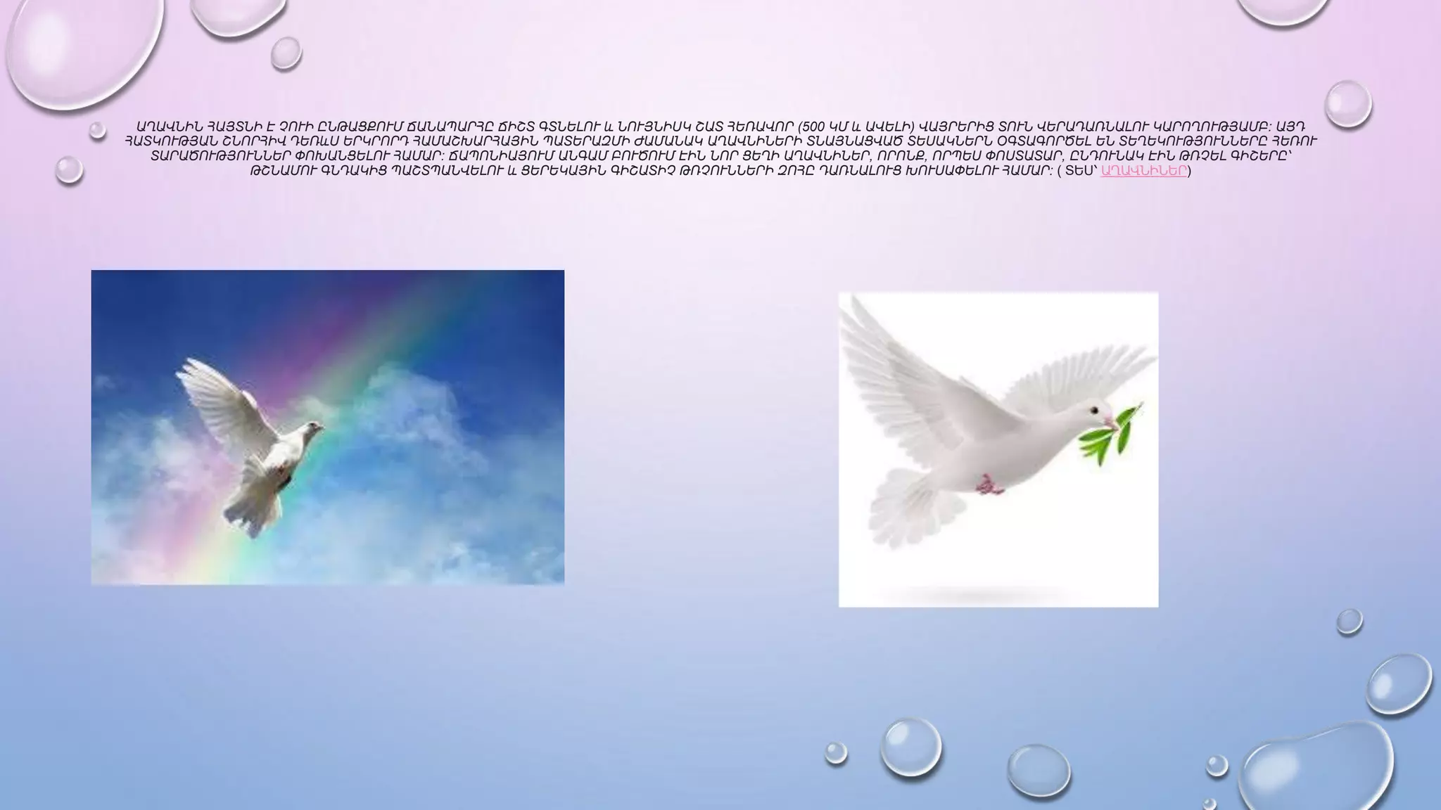 Աղունիկ մասին.pptx