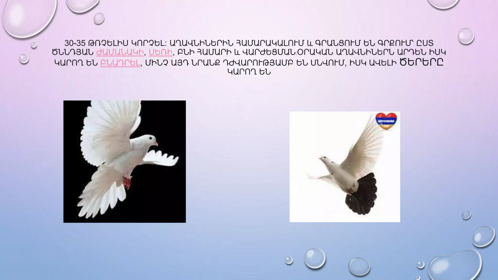 Աղունիկ մասին.pptx