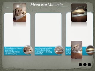 Επιτύμβιο ανάγλυφο.
Εικονίζεται
πολεμιστής ιππέας
και ιπποκόμος
Ανάγλυφη επιτύμβια
στήλη. Εικονίζεται
ιματιοφόρος άνδρας
και παιδί.
Ενεπίγραφη
επίσκεψη ταφικού
μνημείου.
Μέσα στο Μουσείο
 